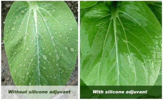 Organosilicone Heptamethyltrisiloxane Surfactant QS