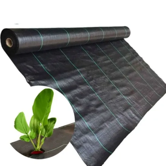 Agricultural Plastic Products Mulch Grass Ground Cover HDPE Mats