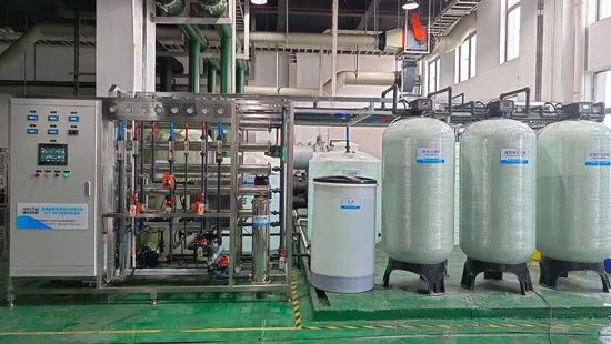 Customized Ultrapure Water Treatment Equipment Industrial Reverse Osmosis EDI Applications 