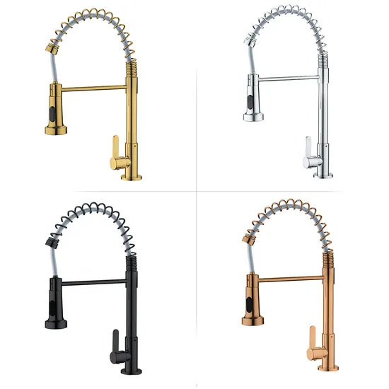 Gourmet Dual Function Kitchen Faucet Single Handle Chromed Stainless Steel Water Tap 
